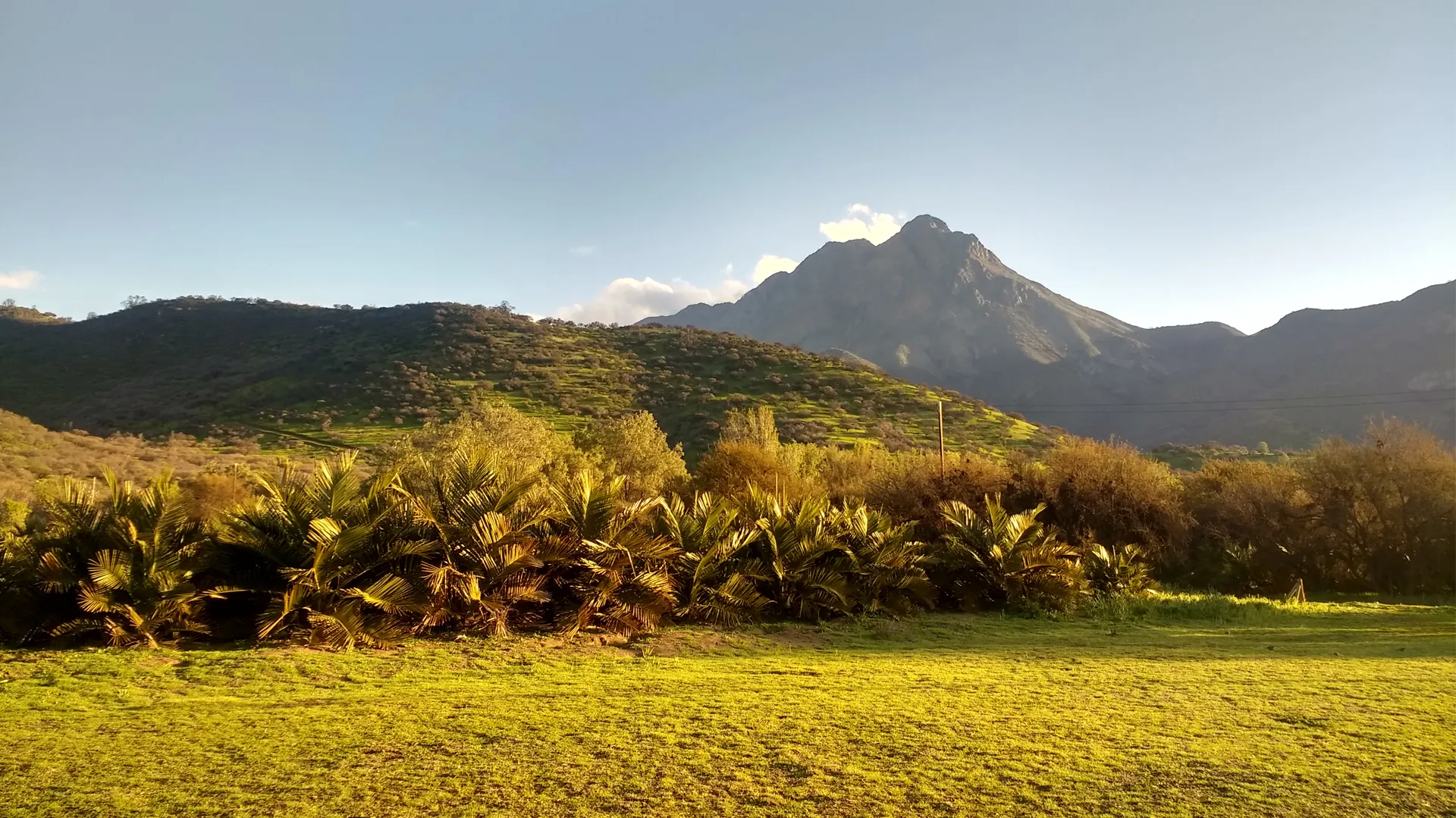 Oasis la Campana
